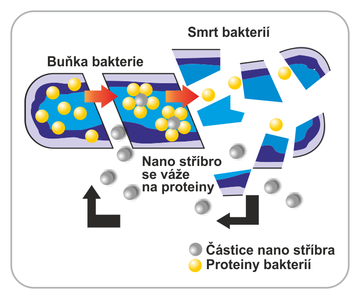 Proces likvidace bakterií v zařízení Klenz Proces likvidace bakterií v zařízení Klenz